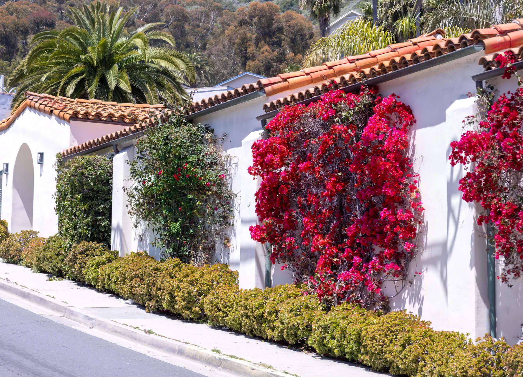 Residential row homes representing Bonita, California