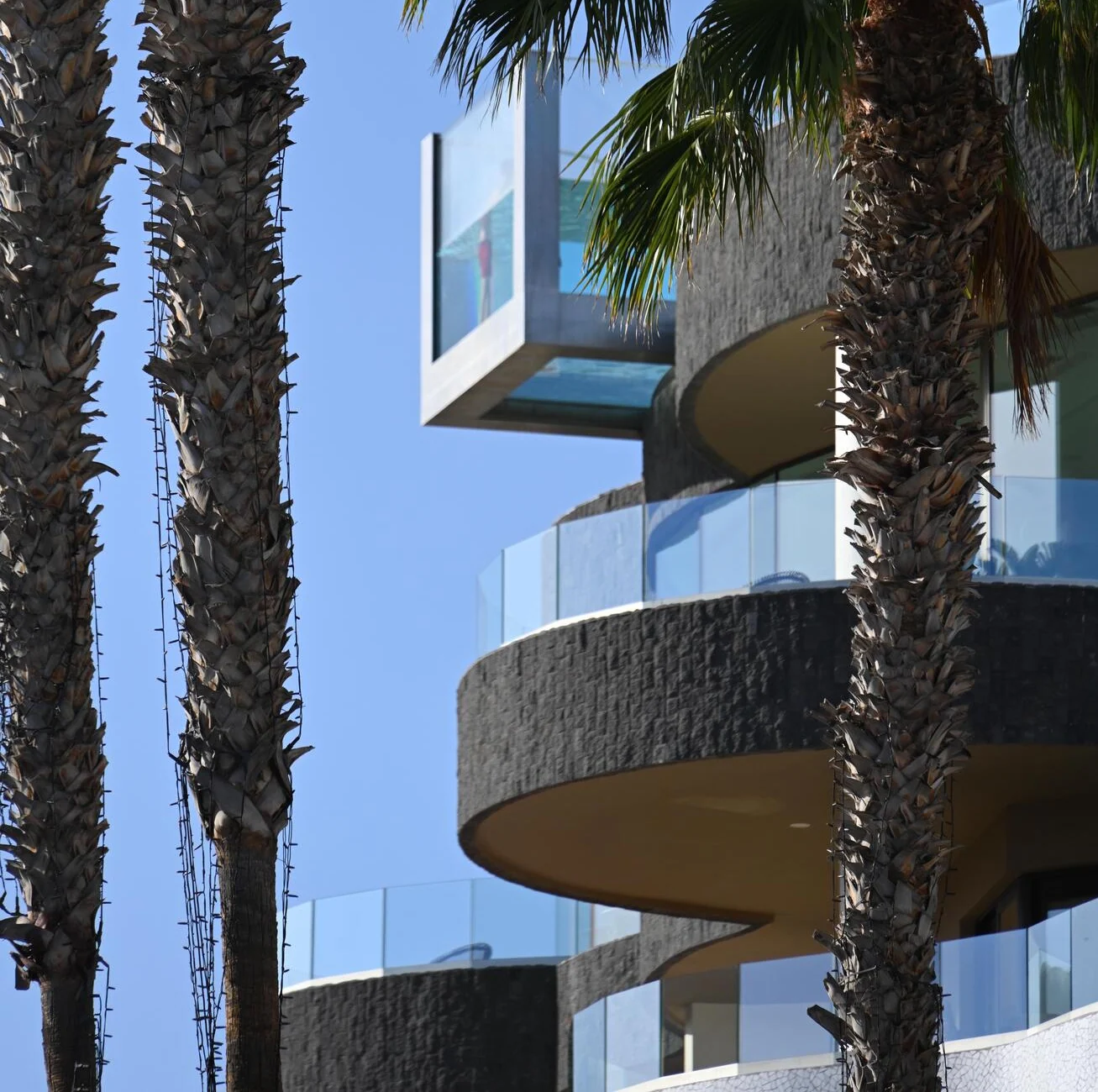 Modern San Diego residence with palms and a pool